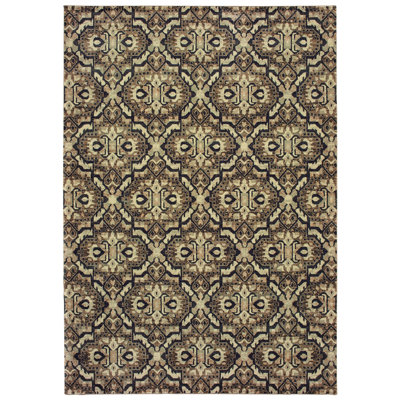Salgado Oriental Indoor Rug