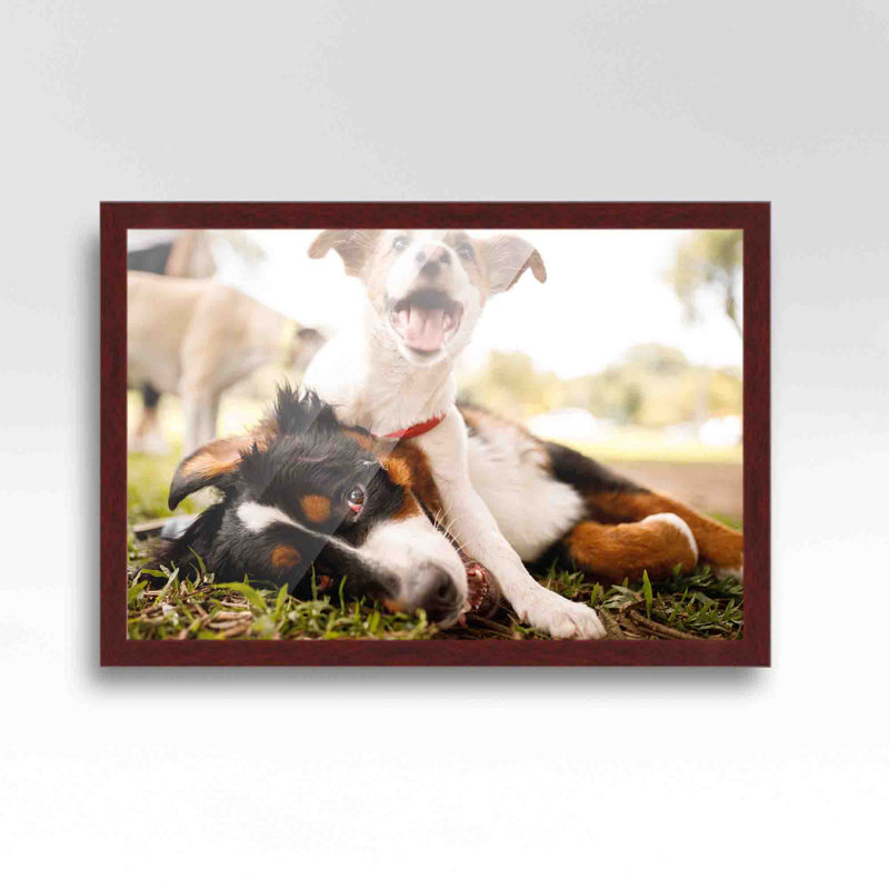 Cadre photo en bois brun, 16 po x 32 po, Brun