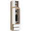 Sianah Particle Board 2 - Door Rectangle Accent Cabinet