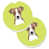 Jack Russell terrier brun