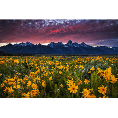Printemps dans les montagnes - Photographie sur toile tendue