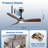 42" Walnut Modern Ceiling Fan with Light and Remote-1243717382