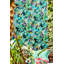 Dance of Adornment Wallpaper