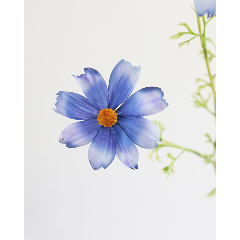 Real Touch Bleu Cosmos 29 po, Blue