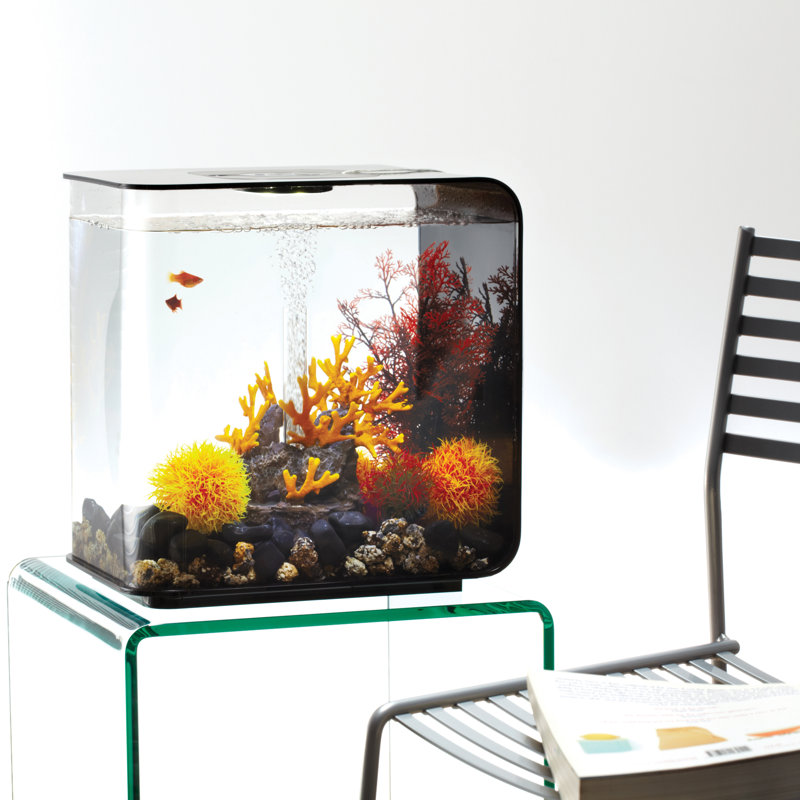 Black Acrylic 8-Gallon Rectangle Aquarium with Stand