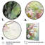 Tree American Basswood Spring Blooms II - Tree Wall Art-821648369-821648380