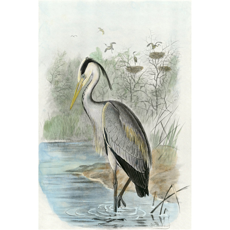 Oversize Common Heron (ABW) - Wrapped Canvas Art Prints, 46cm H x 30cm W x 3.8cm D