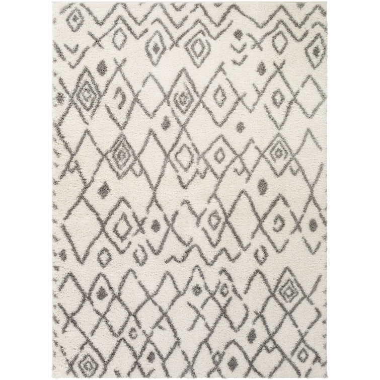 Amabilia Southwestern Indoor Rug