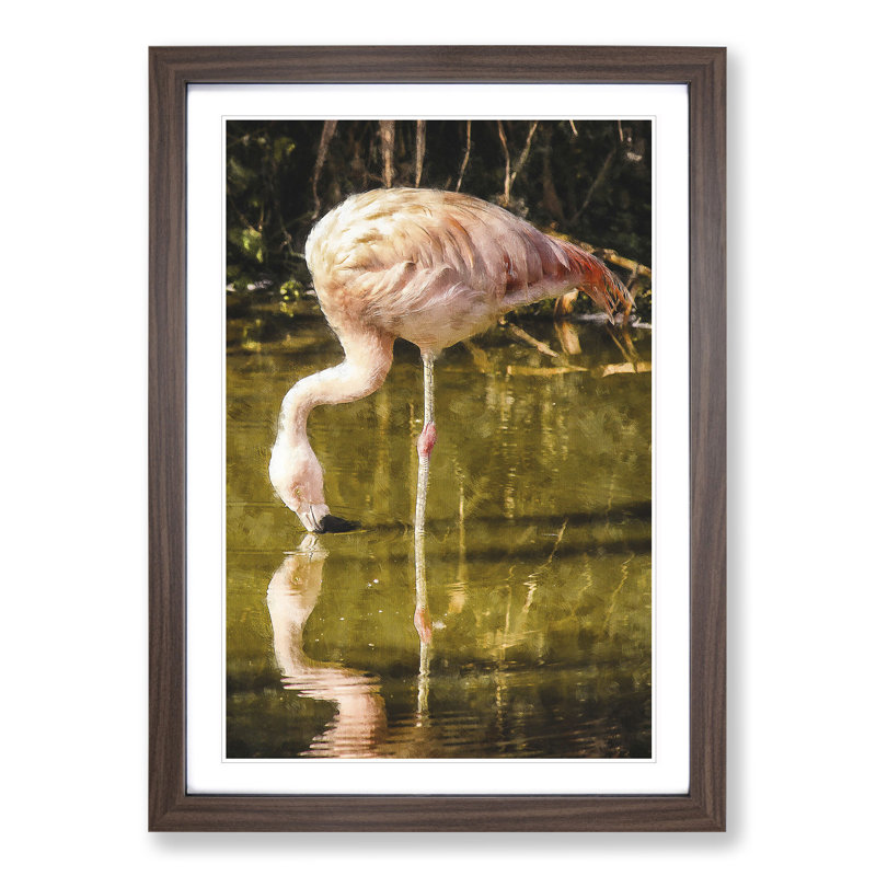 Pink Flamingo Vol.2 - Framed Print, 36cm H x 27cm W x 2cm D, Walnut Framed
