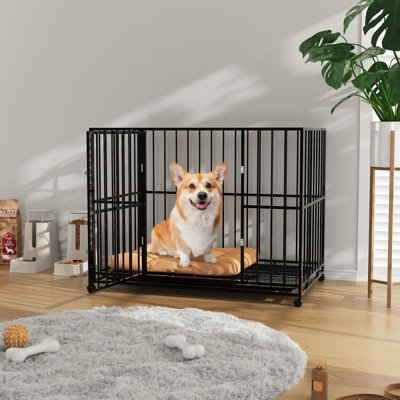 Cage pour chien de 36 pouces pour petits chiens, chenil en acier inoxydable robuste pour l'intérieur avec roulettes et plateau amovible, cage pour chien très petite empilable