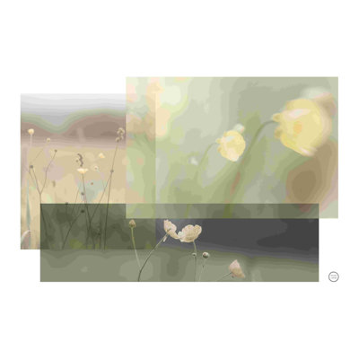 «Wildflower Collage» par Nathan Larson - peinture sur toile tendue