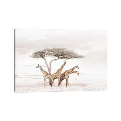 " White Giraffes " by Klaus Tiedge