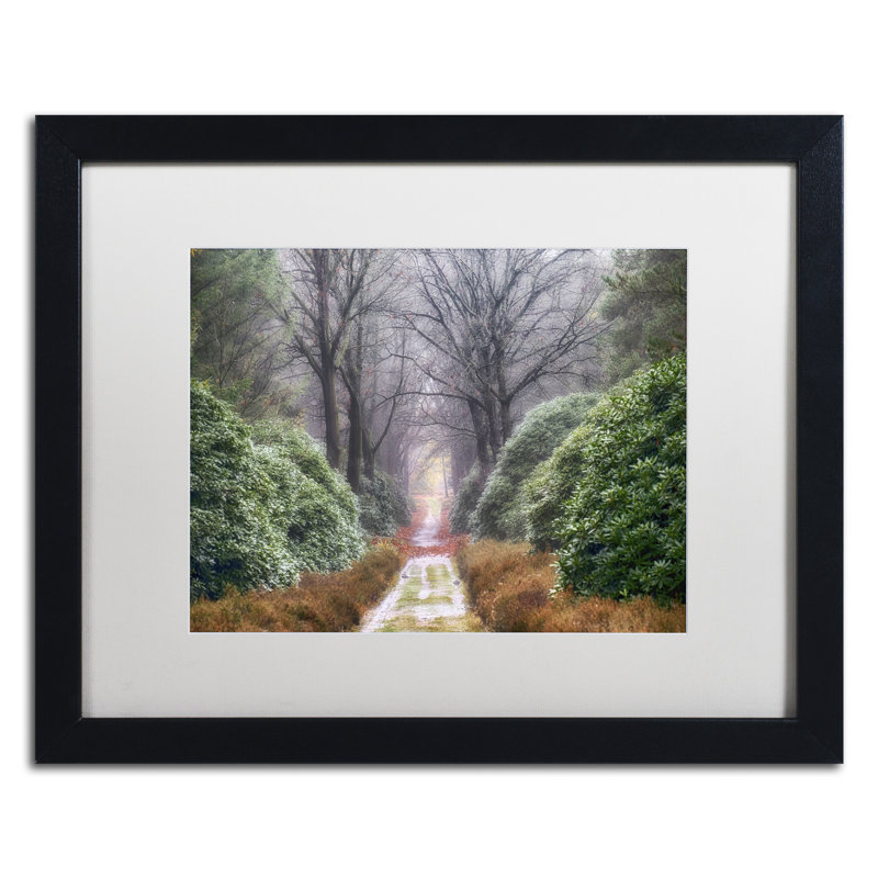 « rhododendron lane », reproduction de photo sur toile encadrée, H 11 po x l 14 po x P 0,5 po, Noir
