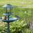 Bird Bath-1353438702