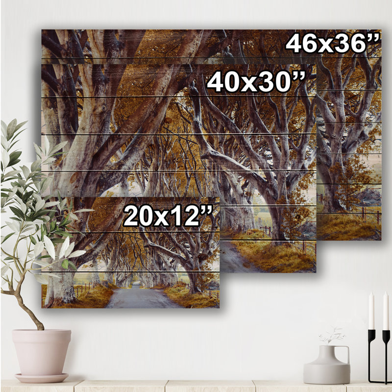 " Majestic Tree Alley " Painting Print, 36" H x 46" W x 1.5" D