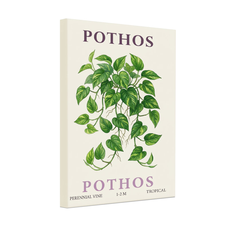 Plantes et fleurs, H 30 po x l 20 po