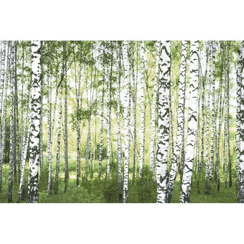 No Frame Print on Wood, 91cm H x 127cm W