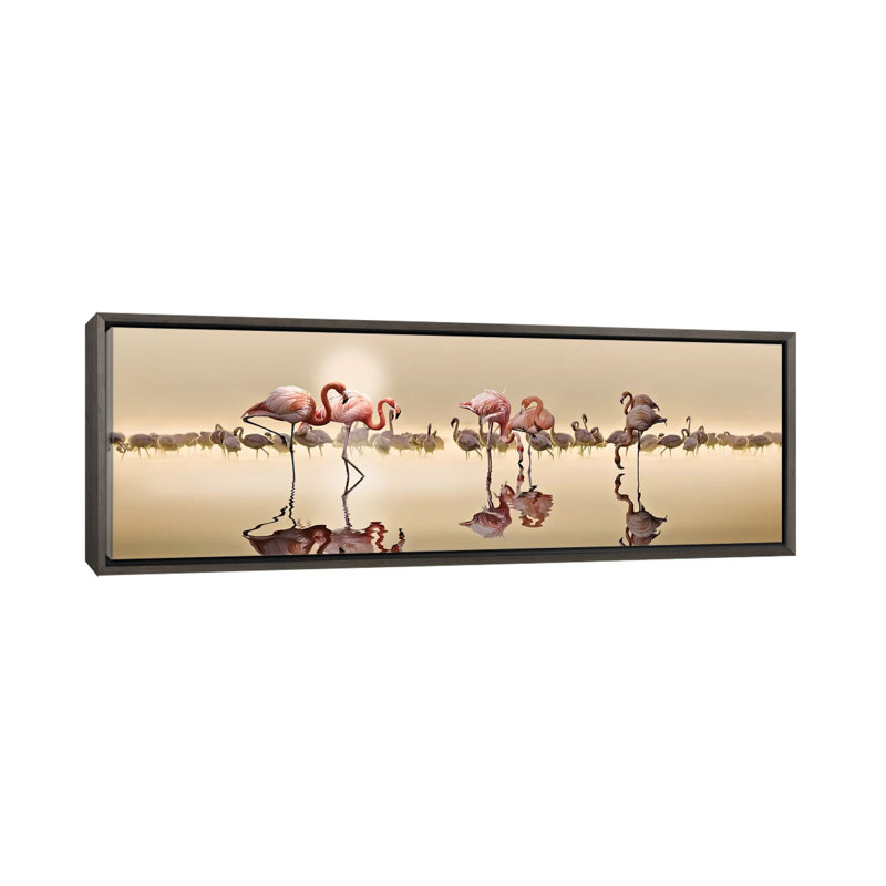 Flamingos by Nasser Osman - Panoramic Print on Canvas, 16'' H x 48'' W x 1.5'' D, Dark Rustic Wood Framed