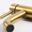 Trova Single Hole Bathroom Faucet with Drain Assembly-61695808