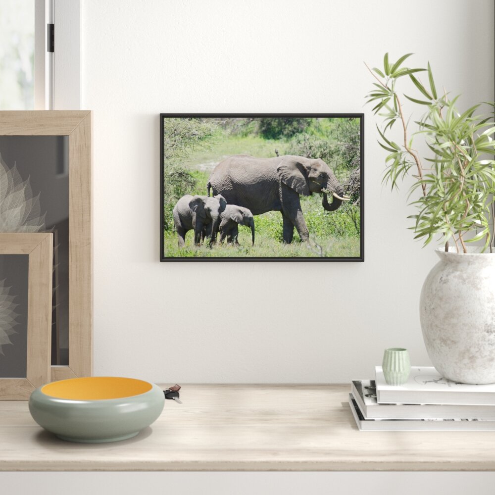 Gerahmter Fotodruck Zugvogel-Familie