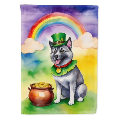 Drapeau double face en polyester H 40 po x l 28 po St Patrick's Day House