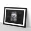 Wolf Portrait - Picture Frame Graphic Art Print-56876430-56876432