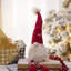 Ensemble de 2 décorations festives de gnomes de Noël, parfaites pour la table des fêtes et les ornements de maison