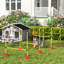 103cm H Plastic Dog Agility