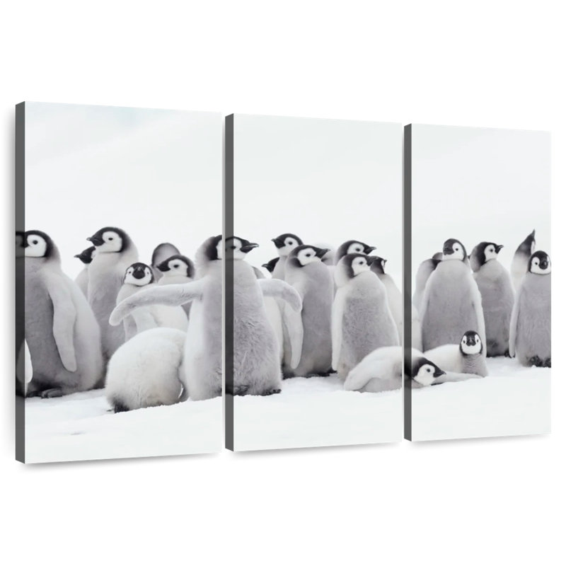 Brampt Young Emperor Penguins, 20" H x 33" W