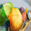Coastal Wall Decor