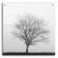 «Winter Trio III» par Nicholas Bell, art mural en verre acrylique-25206173