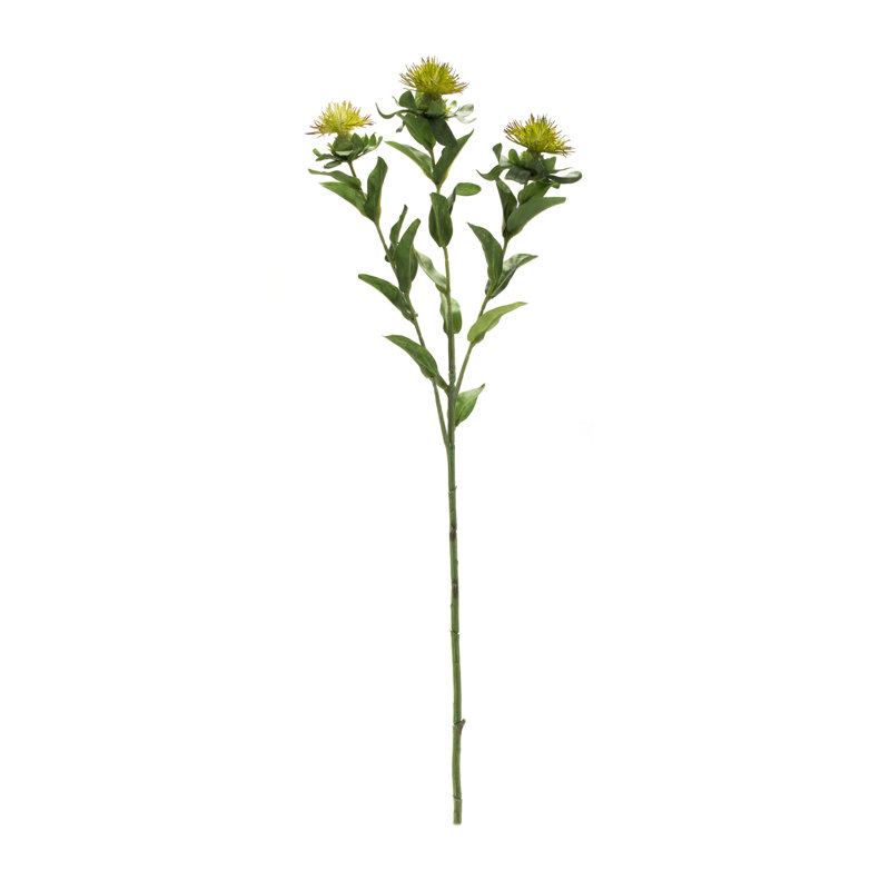 Thistle Steam