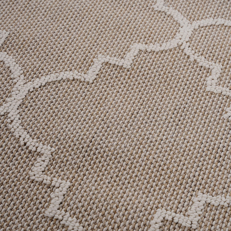 Trellis Rug, Area Rug For Indoor And Outdoor, Rectangle 5'3" x 7'6"
