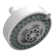 Multi Function Fixed Shower Head