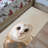Floral Pattern Luxurious With Pile Soft Printed Rug Ideal for Minimalist and Contemporary Home Decor-1933440926