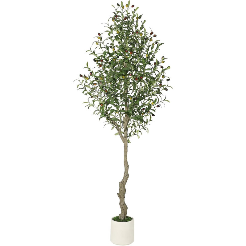59.06cm Plant, 1