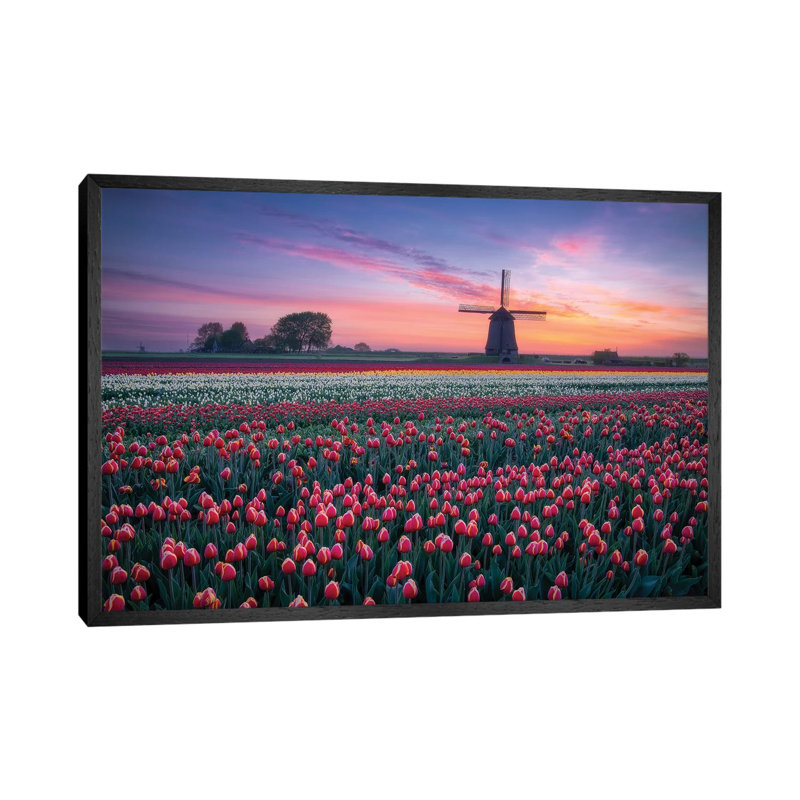 Windmill And Tulips by Dick Van Duijn - Print on Canvas, 45.72cm H x 66.04cm W x 3.81cm D, Black Framed