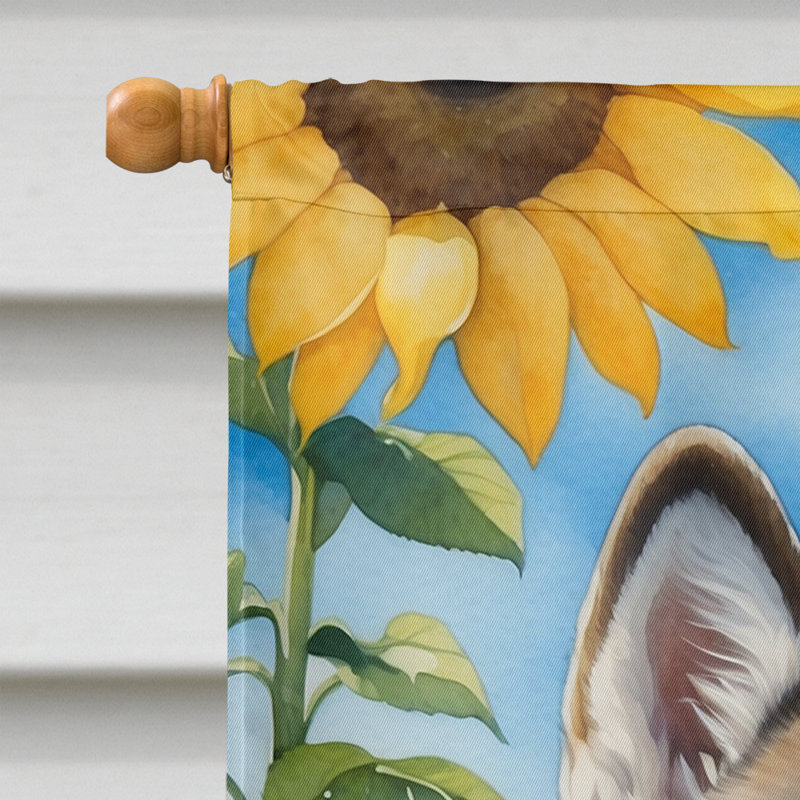 Drapeau de la maison du tournesol Malamute d'Alaska, Malamute d’Alaska