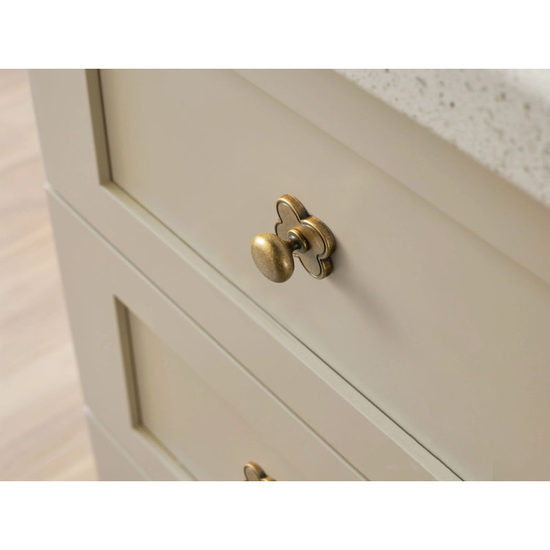 Poignée champignon 1,14 po de diamètre avec contre-plaque-F