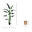 6' Bird of Paradise Tree with Bamboo Planter