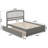 Starkington Solid Wood Platform Bed with Panel Footboard and Trundle-2015064422