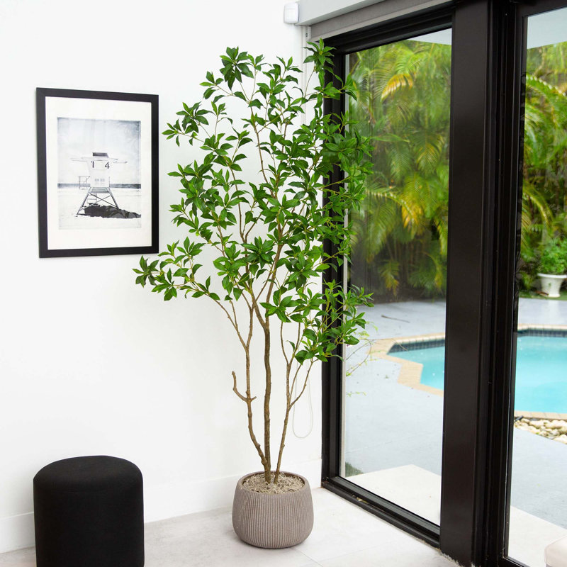 84'' Faux Pieris Tree in Pot Liner