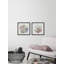 Tring Seaweed And Corals by Marmont Hill - 2 Piece Single Picture Frame Painting Set-87414583