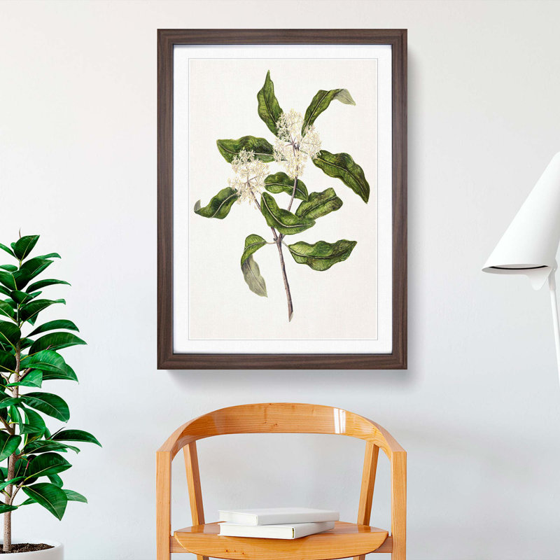 Tarata Flowers by Sarah Featon - Picture Frame Painting Print, 36cm H x 27cm W x 2cm D, Walnut Framed
