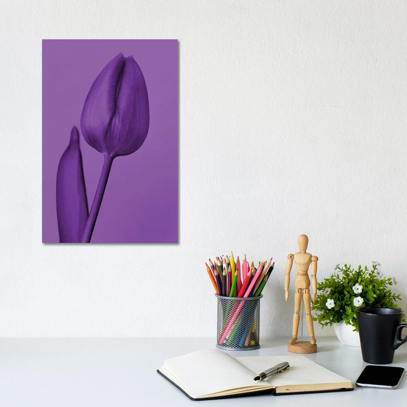 One Tulip In Purple by Beli - Print on Canvas, Wrapped Canvas, 30.48cm H x 20.32cm W x 1.91cm D