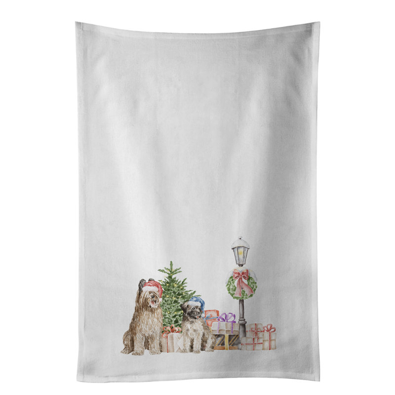 Ensemble de 2 essuie-tout Briard Duo
