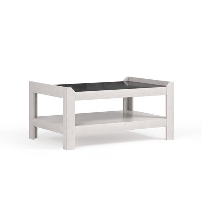 Kazuyo Coffee Table with Storage