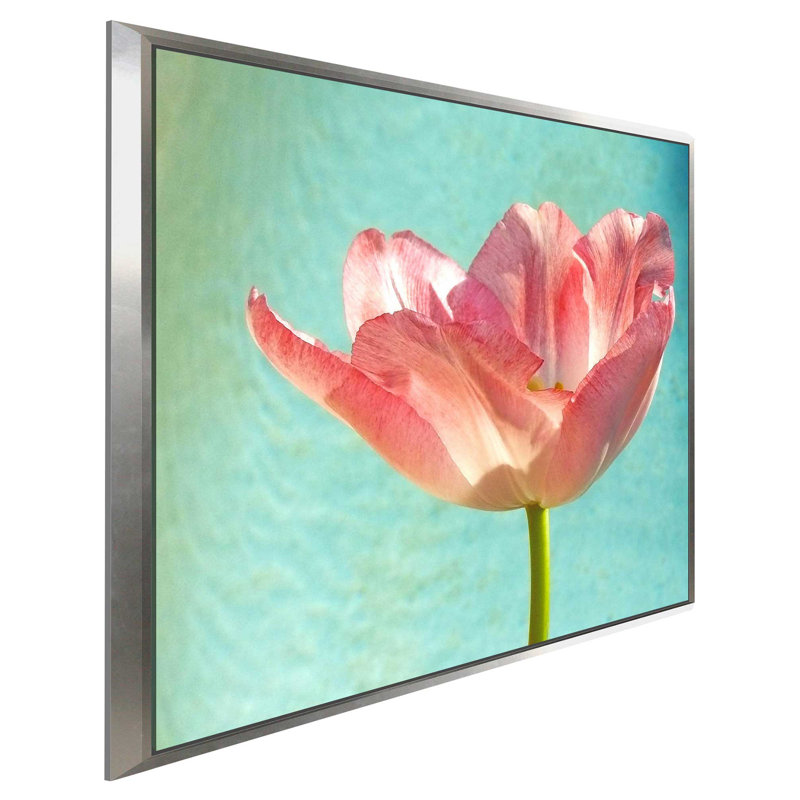 «Pink Tulip», reproduction de photo, H 27,5 po x l 27,5 po x P 2 po, Cadre flottant argent