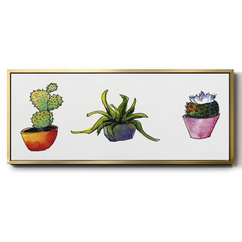 Vibrant Succulents I - Toile encadrée, H 8 po x l 20 po
