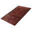 Teimani Brown Rug 3'10" x 6'10"
